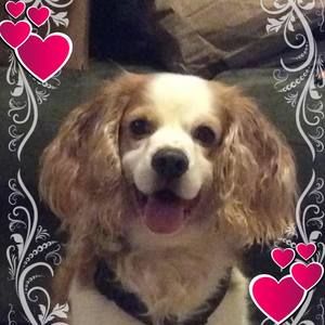 Meet your Posher, Celia